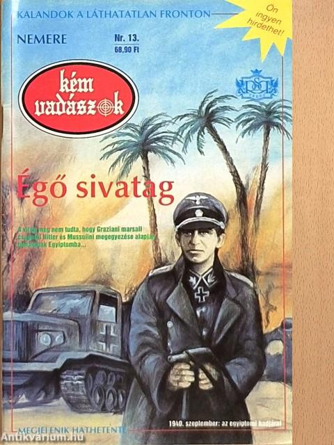 Égő sivatag