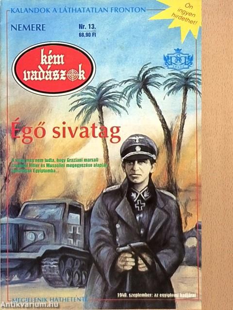 Égő sivatag