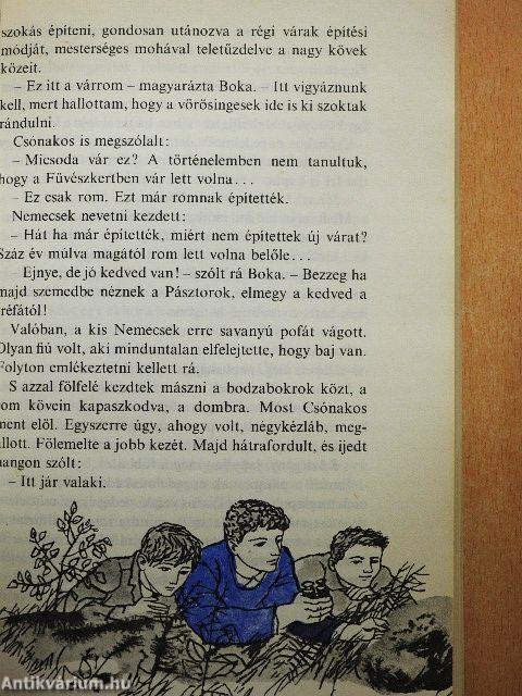 A Pál utcai fiúk