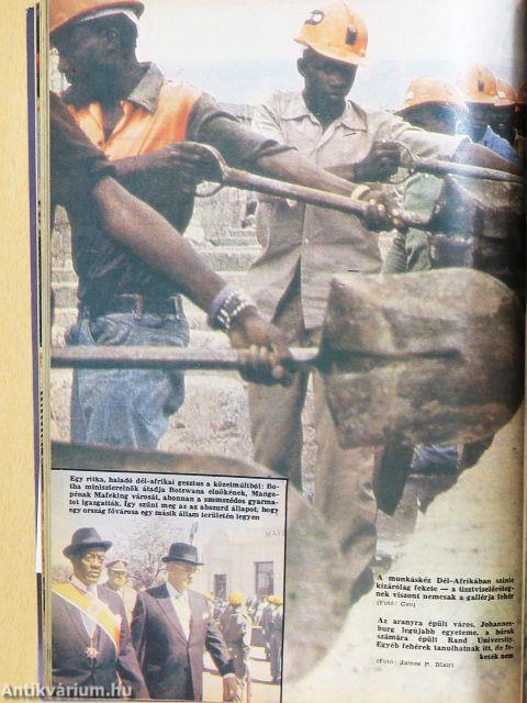 IPM 1986. (nem teljes évfolyam)