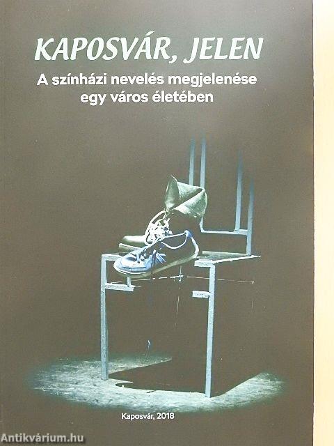 Kaposvár, jelen