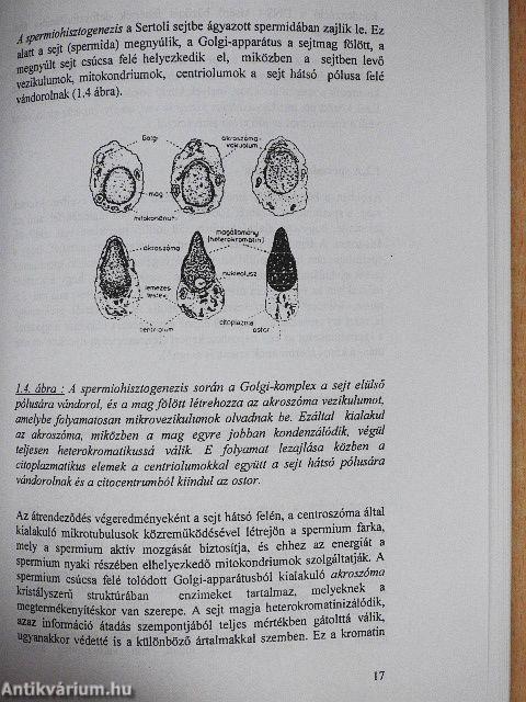 Fejlődésbiológia