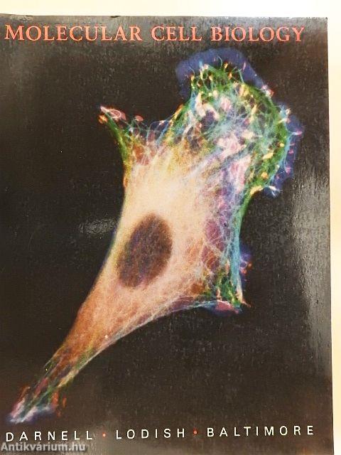 Molecular Cell Biology