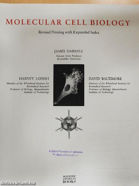 Molecular Cell Biology