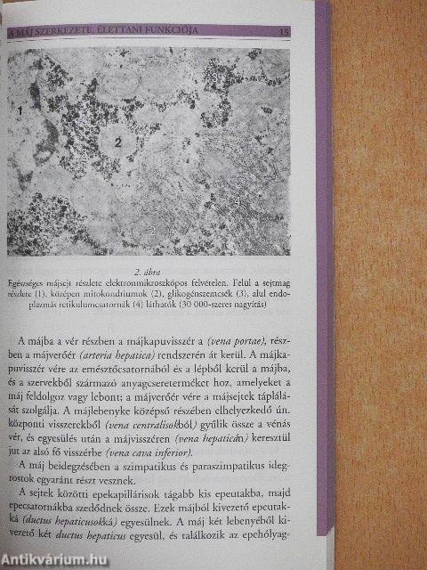 Máj- és epebetegségek