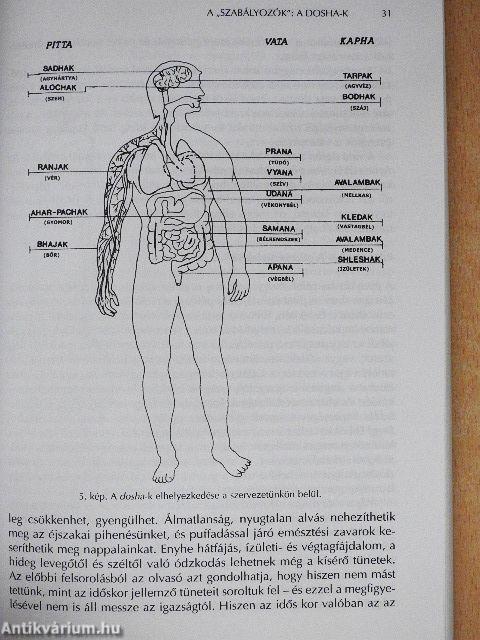 Ayurveda mindenkinek