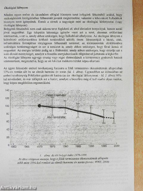 Környezet és globalizáció