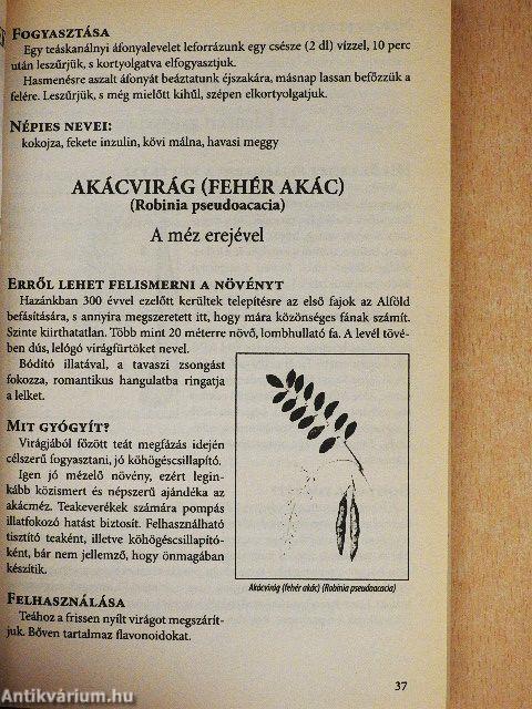 A gyógyító természet