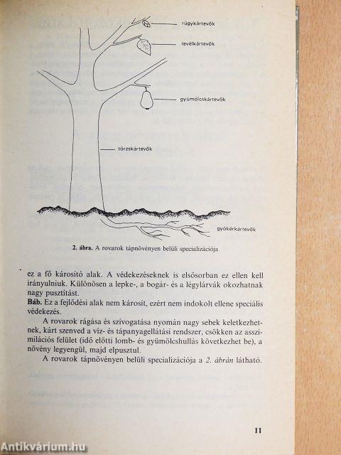 Környezetkímélő növényvédelem a házikertben