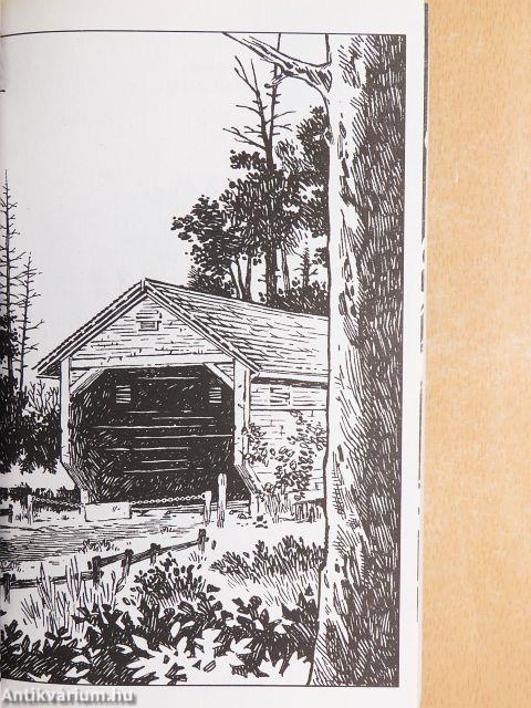 NOS4A2