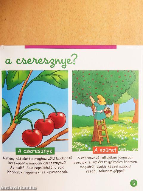 Gyümölcsfák és cserjék