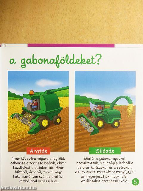 A búza és más gabonafélék