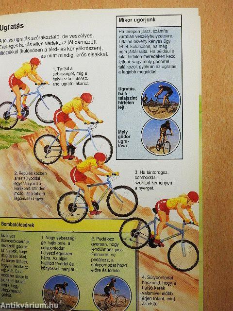 Mountain bike