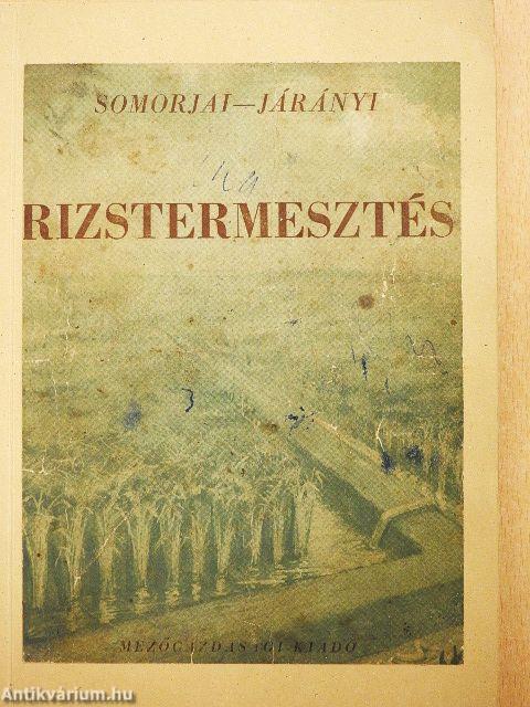 Rizstermesztés