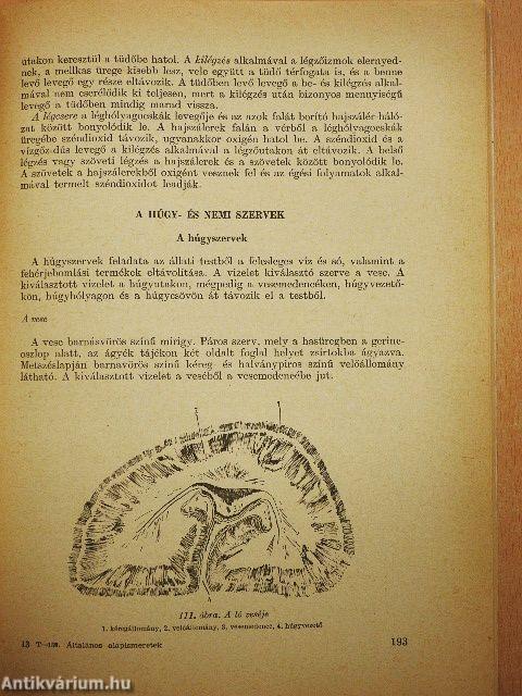 Általános alapismeretek