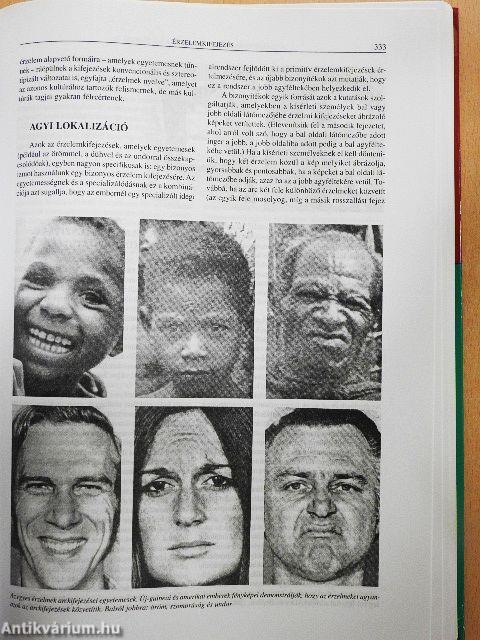 Pszichológia