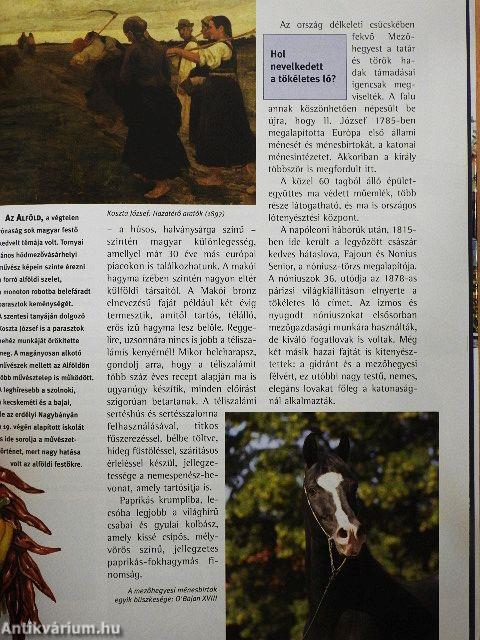 Otthonunk, Magyarország