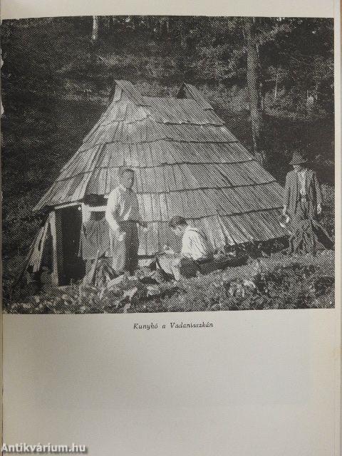 Kárpáti vadászatok