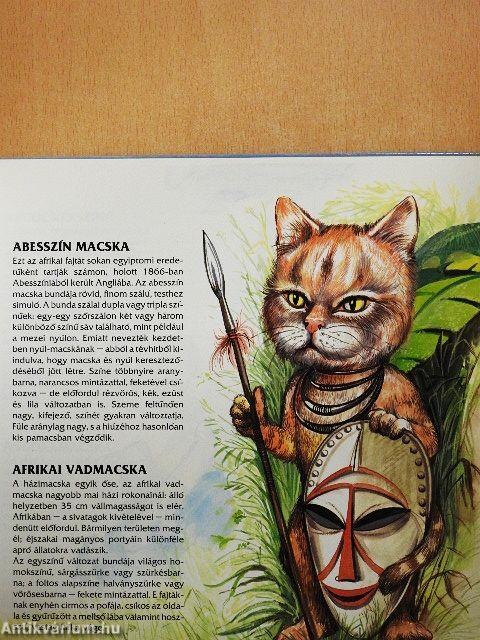 Macskák