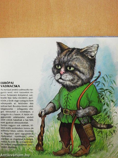 Macskák