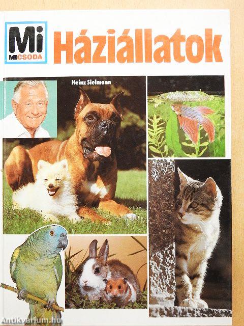 Háziállatok