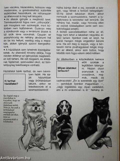 Háziállatok