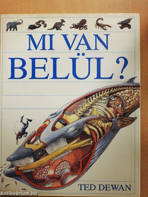 Mi van belül?