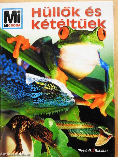 Hüllők és kétéltűek