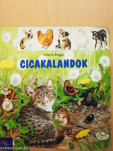Cicakalandok