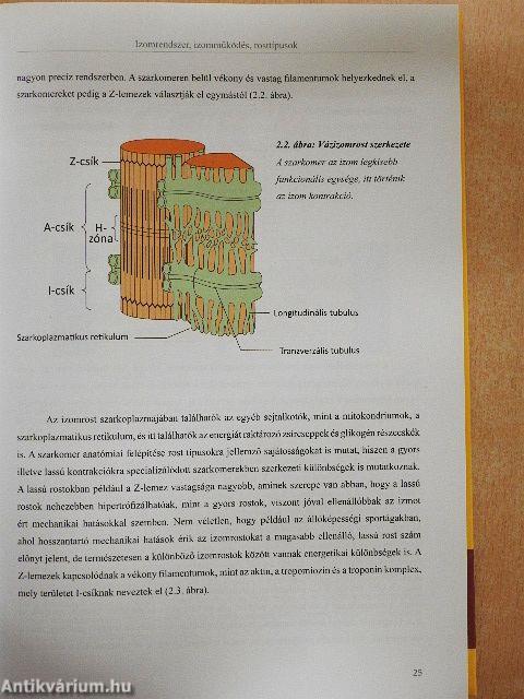 Edzésélettan