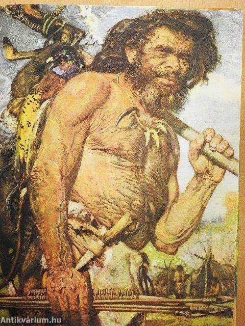 Ádám nyomában