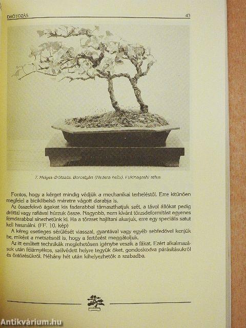 Bonsai