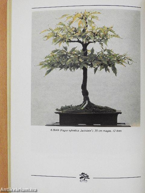 Bonsai