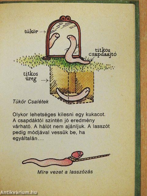 Kis kukac könyv