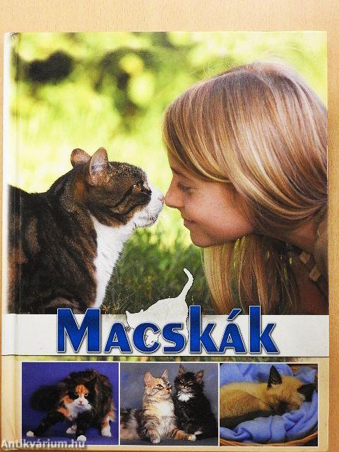 Macskák