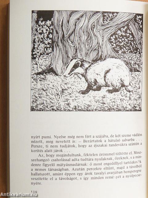 Bakonyi esztendők
