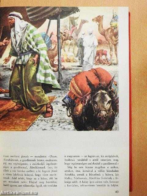 Képes Biblia