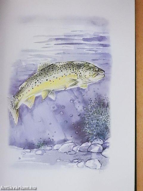 A tökéletes horgász