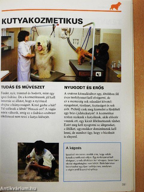 A kutyák világa