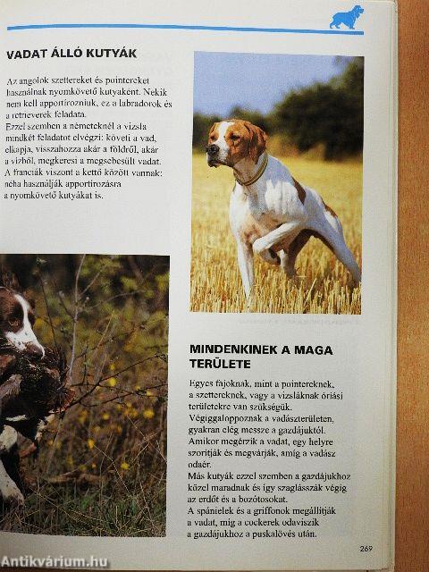 A kutyák világa