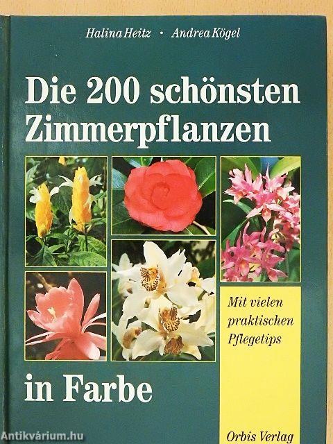 Die 200 schönsten Zimmerpflanzen