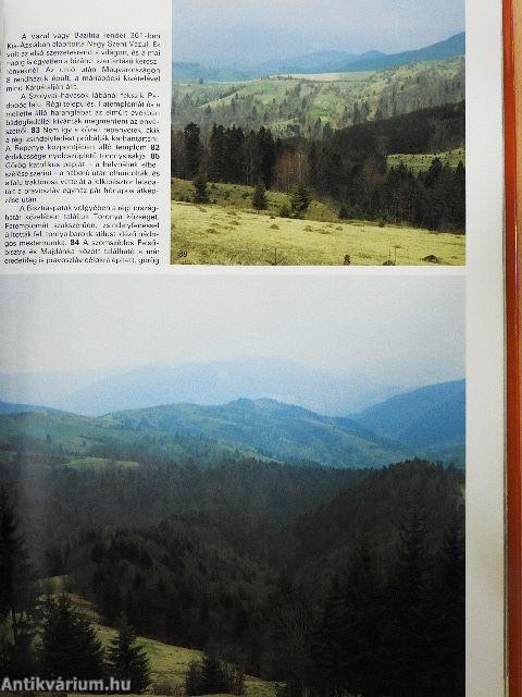 Kárpátalja