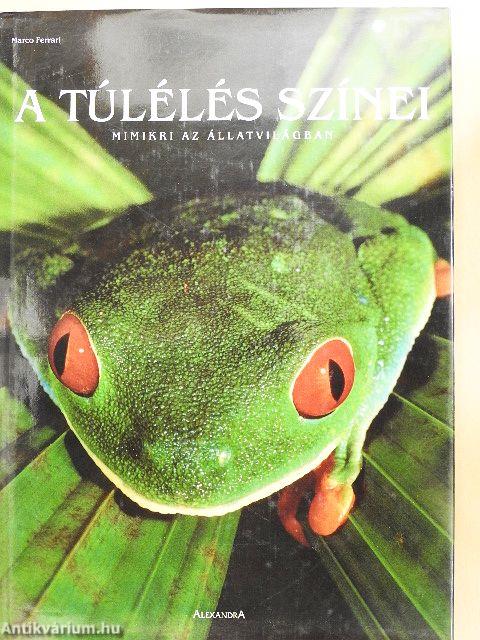 A túlélés színei