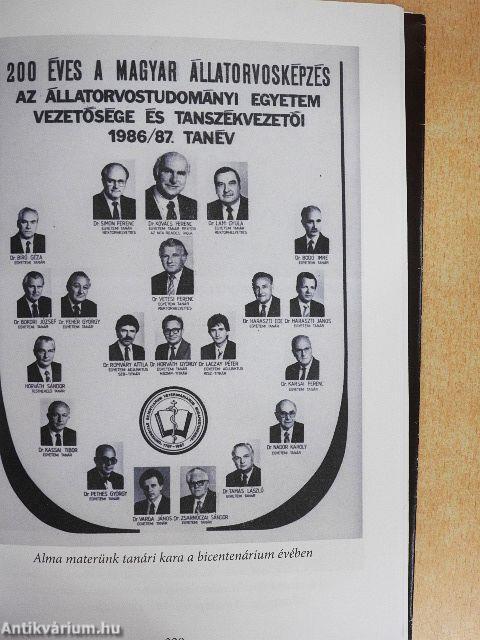 Életforgácsok