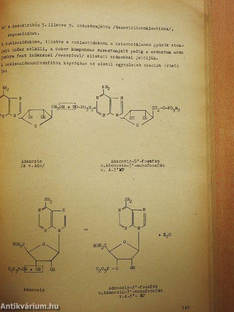Bioorganikus kémia II.