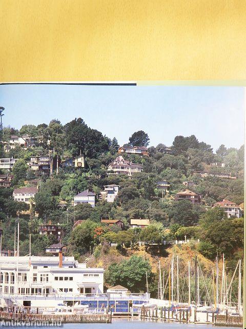 Marin