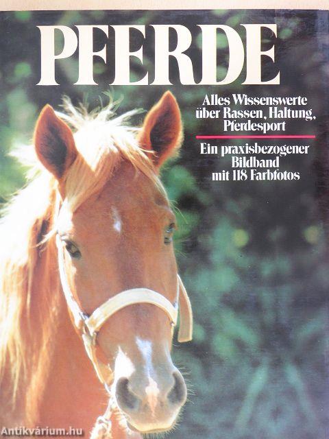 Pferde