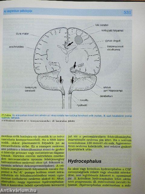 Pathologia