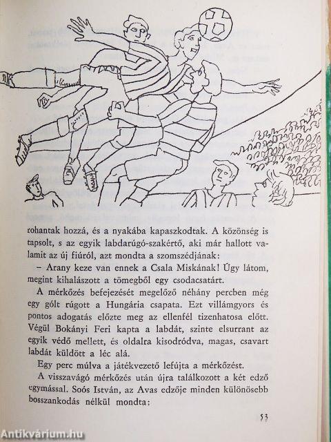 Pettyes labda a világkupában
