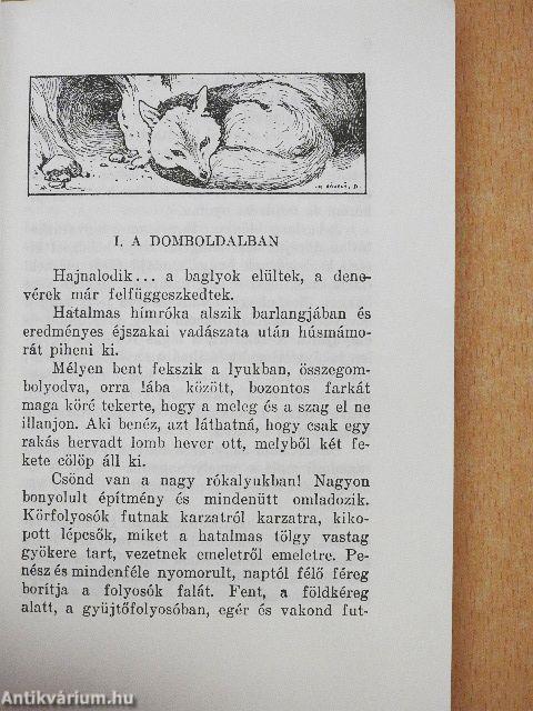 A vörös banda
